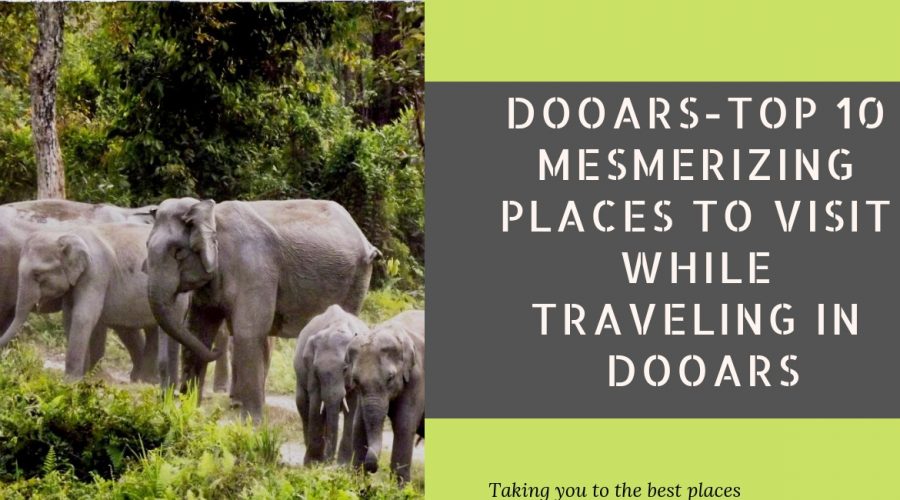 Top 10 Mesmerizing Places to visit while Traveling to Dooars